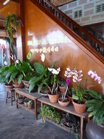 Inle Lake67